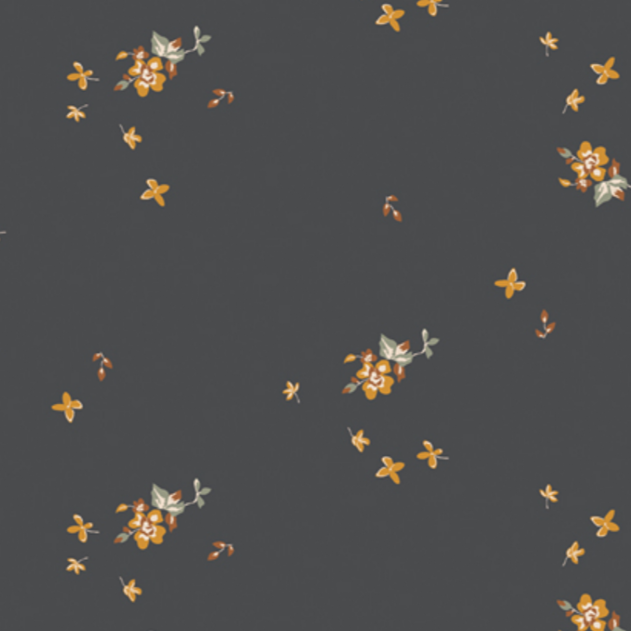 Delicate Balance Charcoal